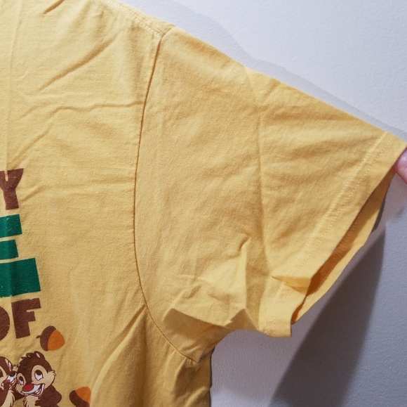 Disney Chip & Dale Chipmunks Graphic T-Shirt Family Men's Medium M Yellow Unisex - Picture 6 of 6